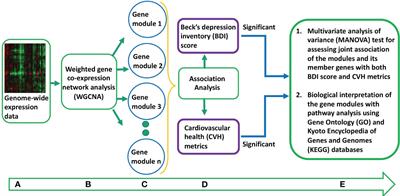 Identification of gene networks jointly associated with depressive symptoms and cardiovascular health metrics using whole blood transcriptome in the Young Finns Study
